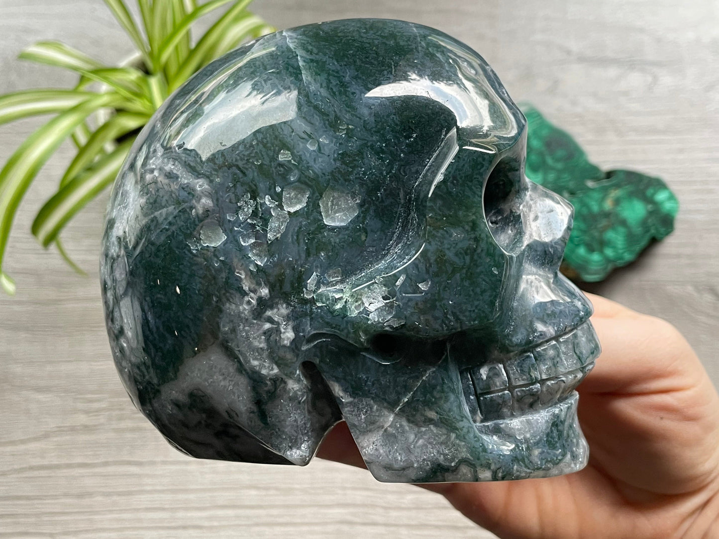 Moss Agate Skull (1.35kg) - The Wandering Fox Emporium, Your Metaphysical Store