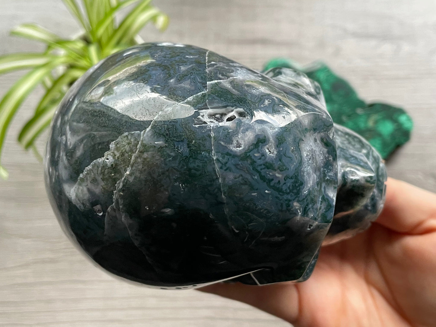 Moss Agate Skull (1.35kg) - The Wandering Fox Emporium, Your Metaphysical Store top