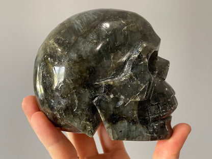 Labradorite Crystal Skull (1.3kg) - The Wandering Fox Emporium, Your Metaphysical Store side 2