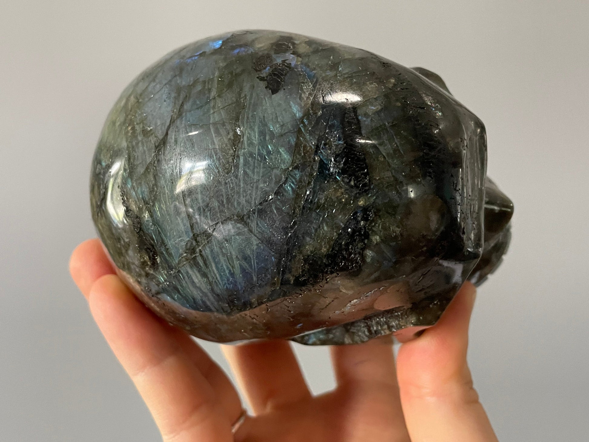 Labradorite Crystal Skull (1.3kg) - The Wandering Fox Emporium, Your Metaphysical Store top