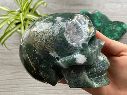 Moss Agate Crystal Skull with Druzy (1.3kg) - The Wandering Fox Emporium, Your Metaphysical Store