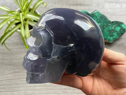 Purple/Green Fluorite Crystal Skull (1kg) - The Wandering Fox Emporium, Your Metaphysical Store left