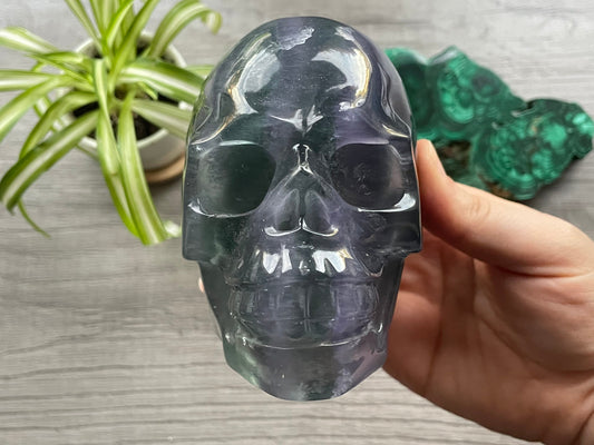 Purple/Green Fluorite Crystal Skull (1kg) - The Wandering Fox Emporium, Your Metaphysical Store