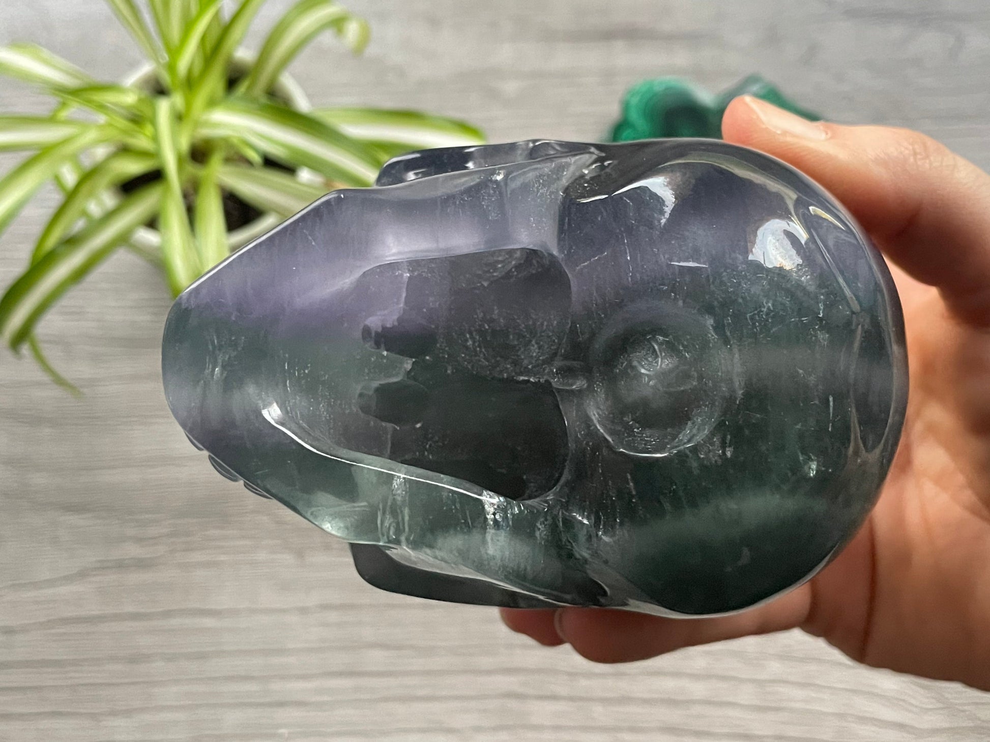 Purple/Green Fluorite Crystal Skull (1kg) - The Wandering Fox Emporium, Your Metaphysical Store bottom