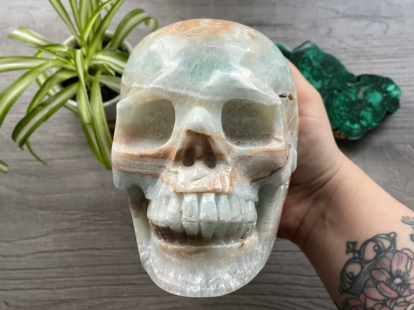 Pictured is a large skull carved out of Caribbean Calcite (blue calcite and white and brown aragonite). HUGE Caribbean Calcite Crystal Skull (2.35kg) - The Wandering Fox Emporium, Your Crystal Store front