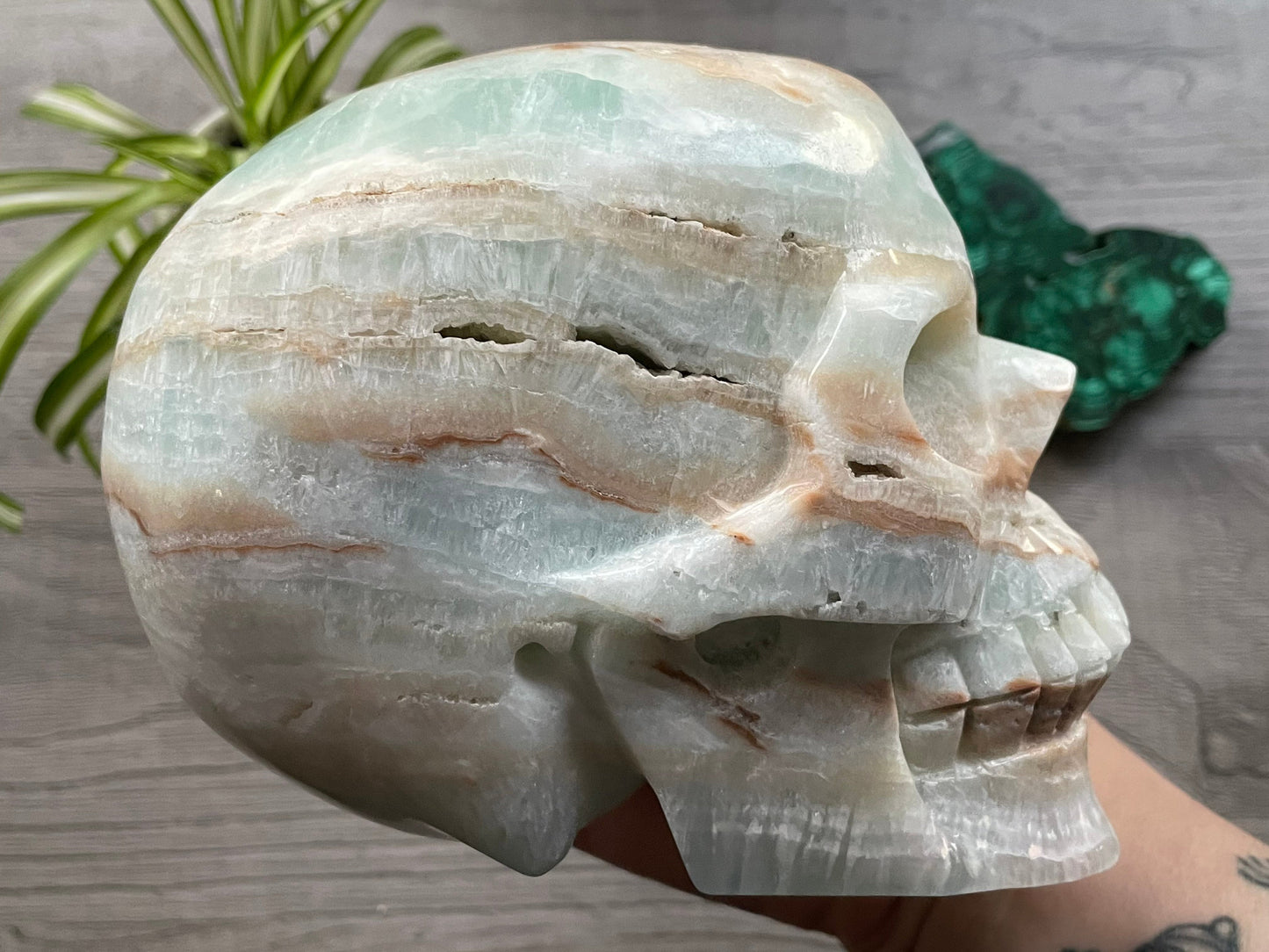 Pictured is a large skull carved out of Caribbean Calcite (blue calcite and white and brown aragonite). HUGE Caribbean Calcite Crystal Skull (2.35kg) - The Wandering Fox Emporium, Your Crystal Store side