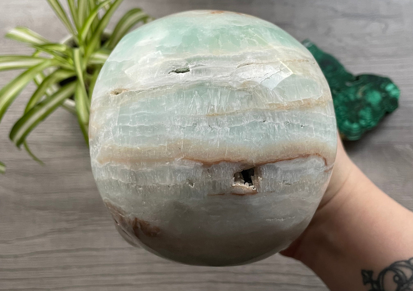 Pictured is a large skull carved out of Caribbean Calcite (blue calcite and white and brown aragonite). HUGE Caribbean Calcite Crystal Skull (2.35kg) - The Wandering Fox Emporium, Your Crystal Store back