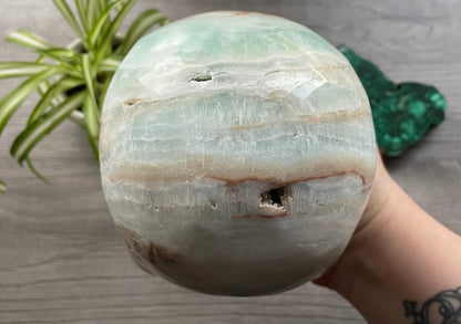 Pictured is a large skull carved out of Caribbean Calcite (blue calcite and white and brown aragonite). HUGE Caribbean Calcite Crystal Skull (2.35kg) - The Wandering Fox Emporium, Your Crystal Store back