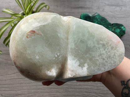 Pictured is a large skull carved out of Caribbean Calcite (blue calcite and white and brown aragonite). HUGE Caribbean Calcite Crystal Skull (2.35kg) - The Wandering Fox Emporium, Your Crystal Store bottom