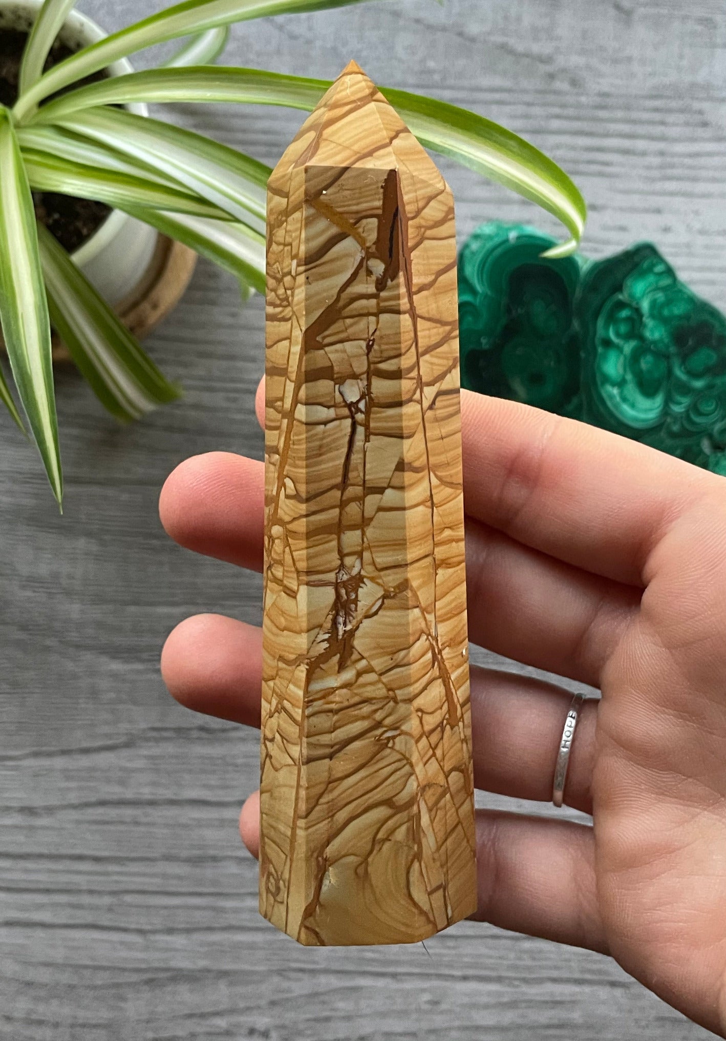 Picture Jasper XL Crystal Point side