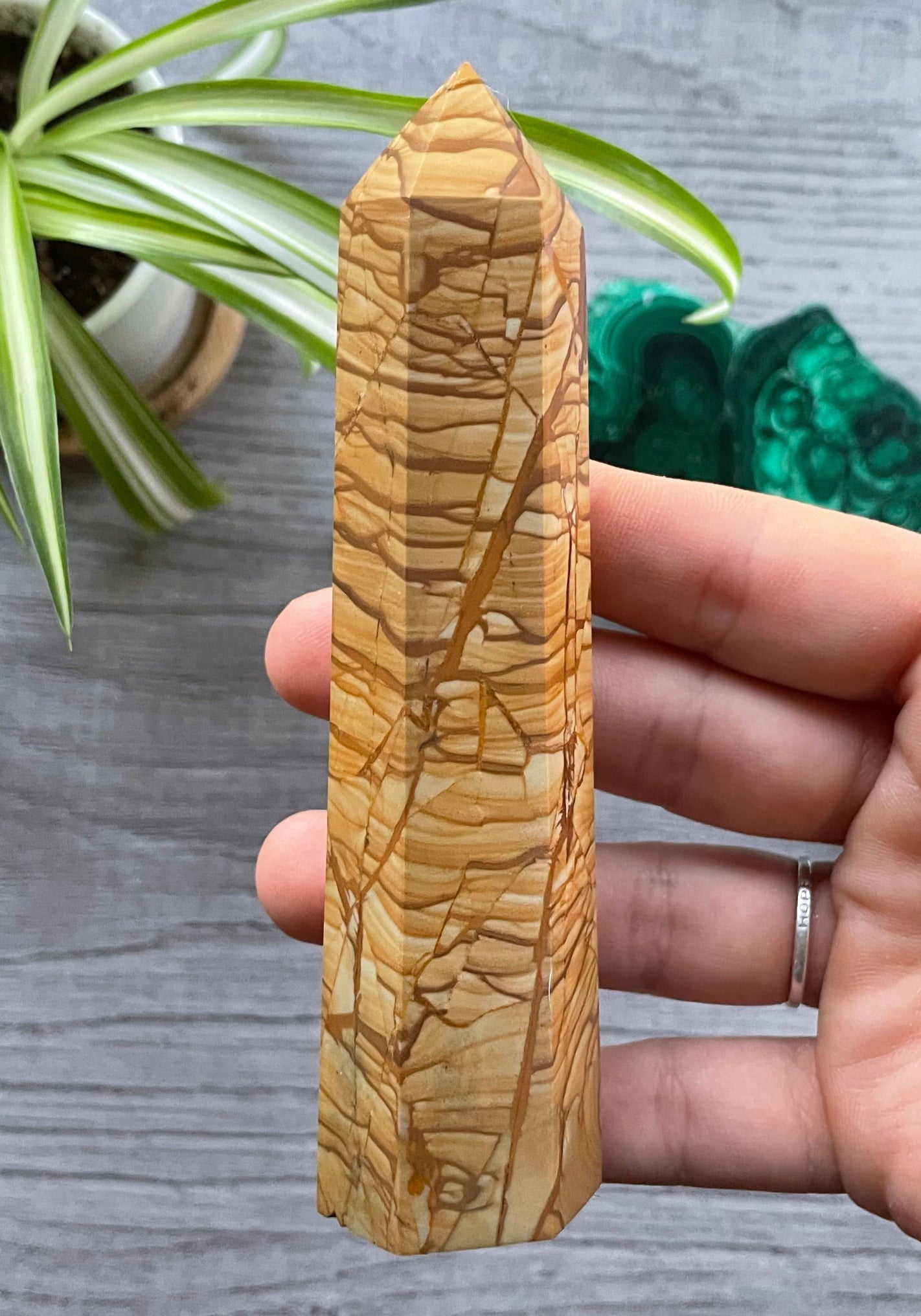 Picture Jasper XL Crystal Point back