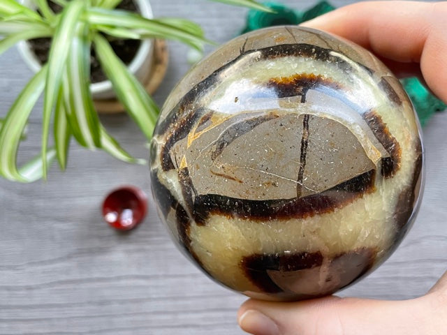 Septarian Sphere - 80mm - The Wandering Fox Emporium, Your Crystal Store back