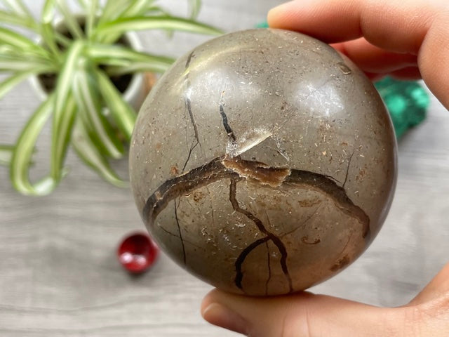 Septarian Sphere - 70mm - The Wandering Fox Emporium, Your Crystal Store back