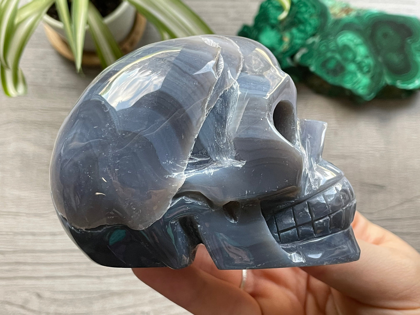 Natural Agate Crystal Skull - .65kg - The Wandering Fox Emporium, Your Crystal Store side