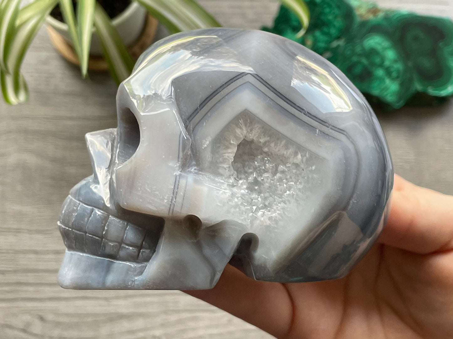 Pictured is a large skull carved out of druzy agate.