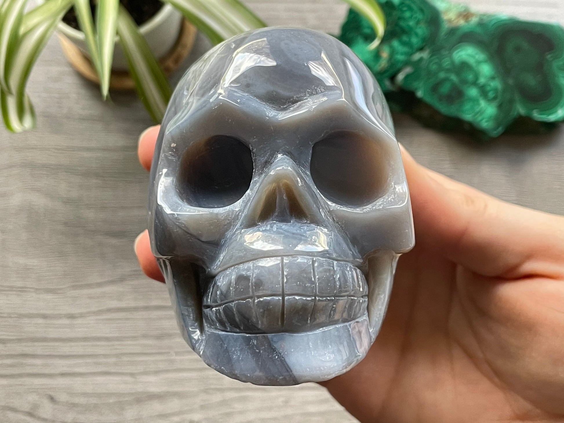 Natural Agate Crystal Skull - .65kg - The Wandering Fox Emporium, Your Crystal Store front