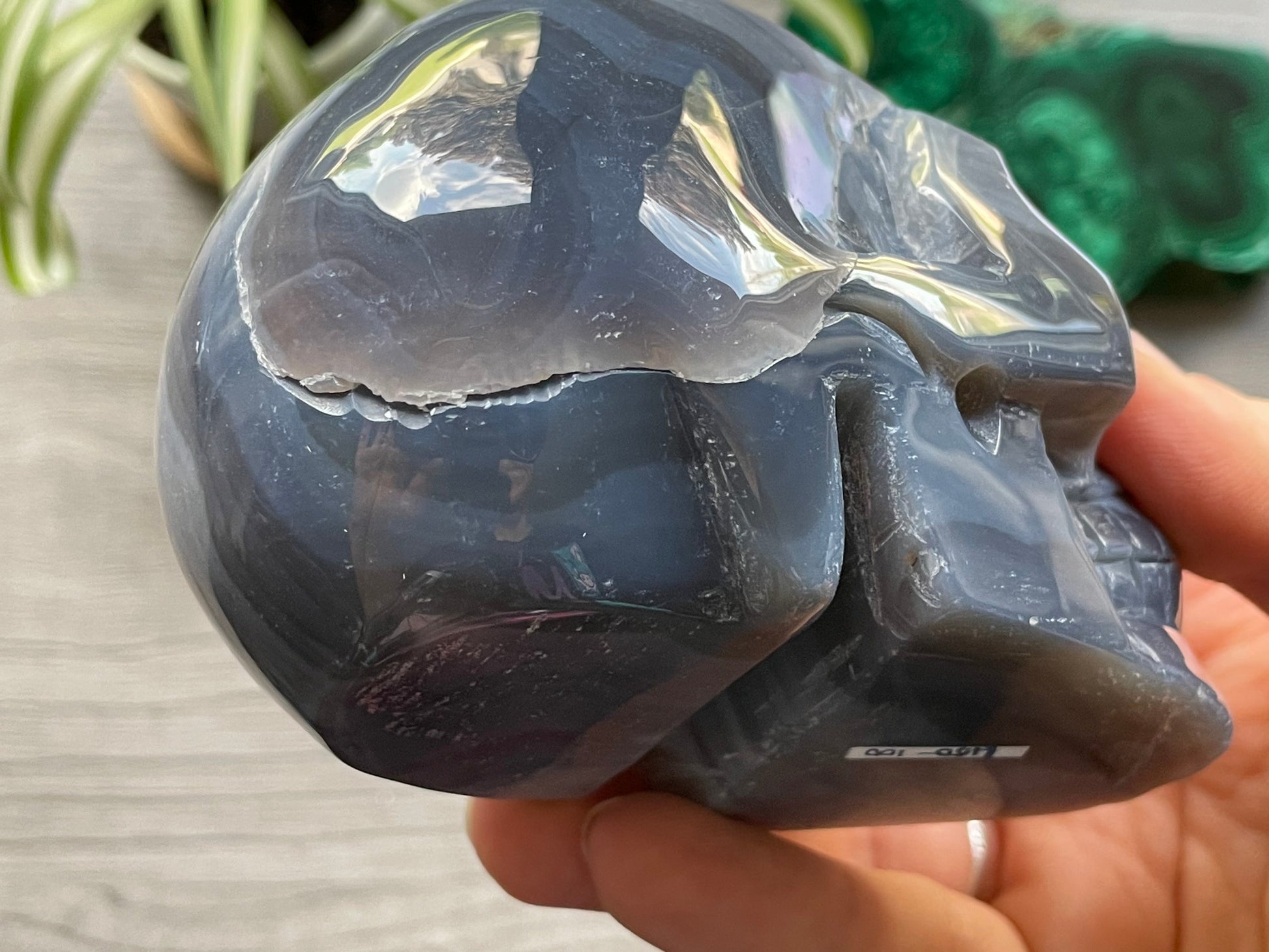 Natural Agate Crystal Skull - .65kg - The Wandering Fox Emporium, Your Crystal Store close up