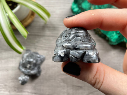 Larvikite Turtle Crystal Carving back