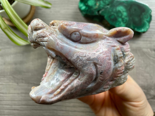 Indian Agate Roaring Tiger Head - B Crystal Carving