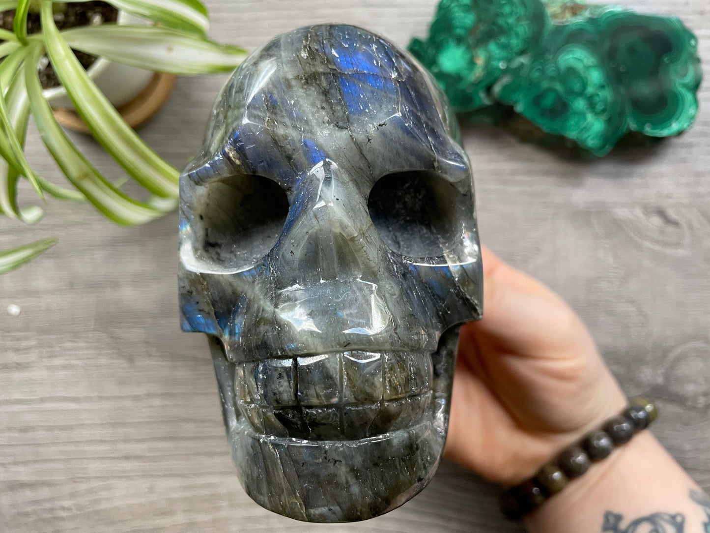 Labradorite Crystal Skull 1.2kg - The Wandering Fox Emporium, Your Metaphysical Store front