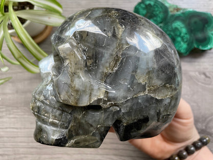 Labradorite Crystal Skull 1.2kg - The Wandering Fox Emporium, Your Metaphysical Store side 2