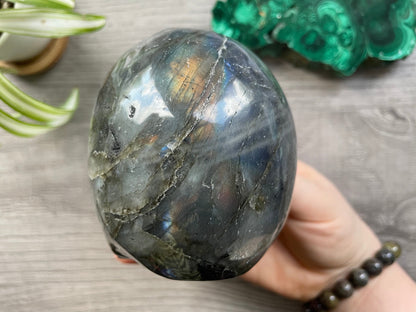 Labradorite Crystal Skull 1.2kg - The Wandering Fox Emporium, Your Metaphysical Store back