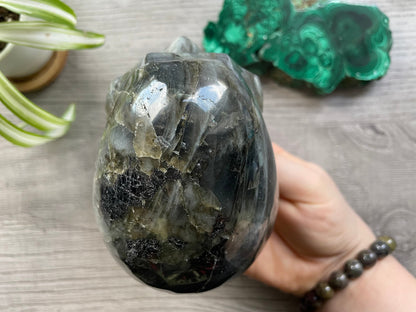 Labradorite Crystal Skull 1.2kg - The Wandering Fox Emporium, Your Metaphysical Store top