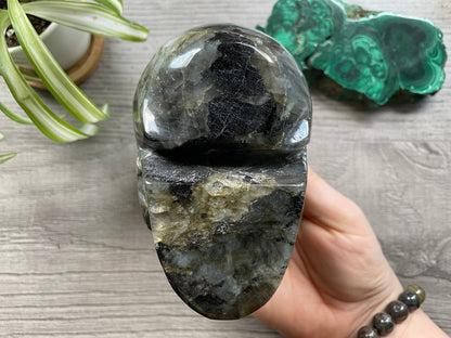 Labradorite Crystal Skull 1.2kg - The Wandering Fox Emporium, Your Metaphysical Store bottom