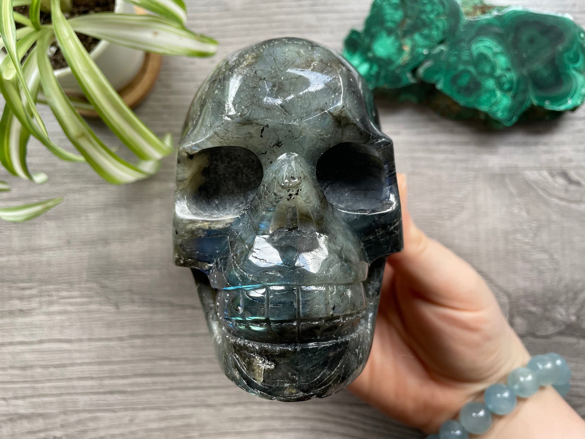 Labradorite Crystal Skull 1.15kg - The Wandering Fox Emporium, Your Metaphysical Store front