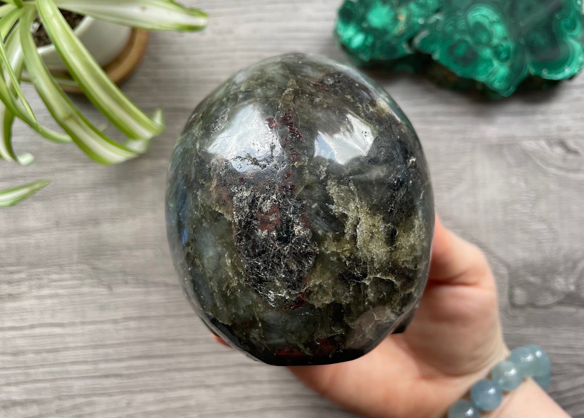 Labradorite Crystal Skull 1.15kg - The Wandering Fox Emporium, Your Metaphysical Store back