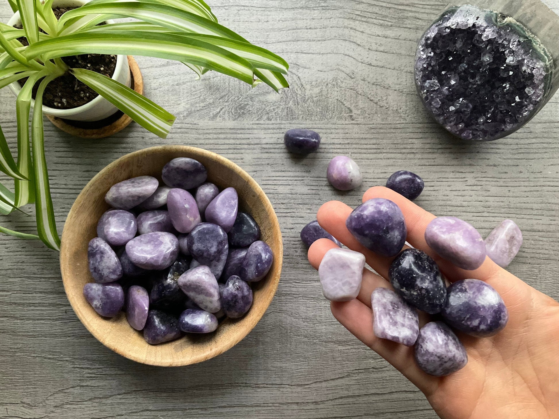 Lepidolite Tumbled Stone close up