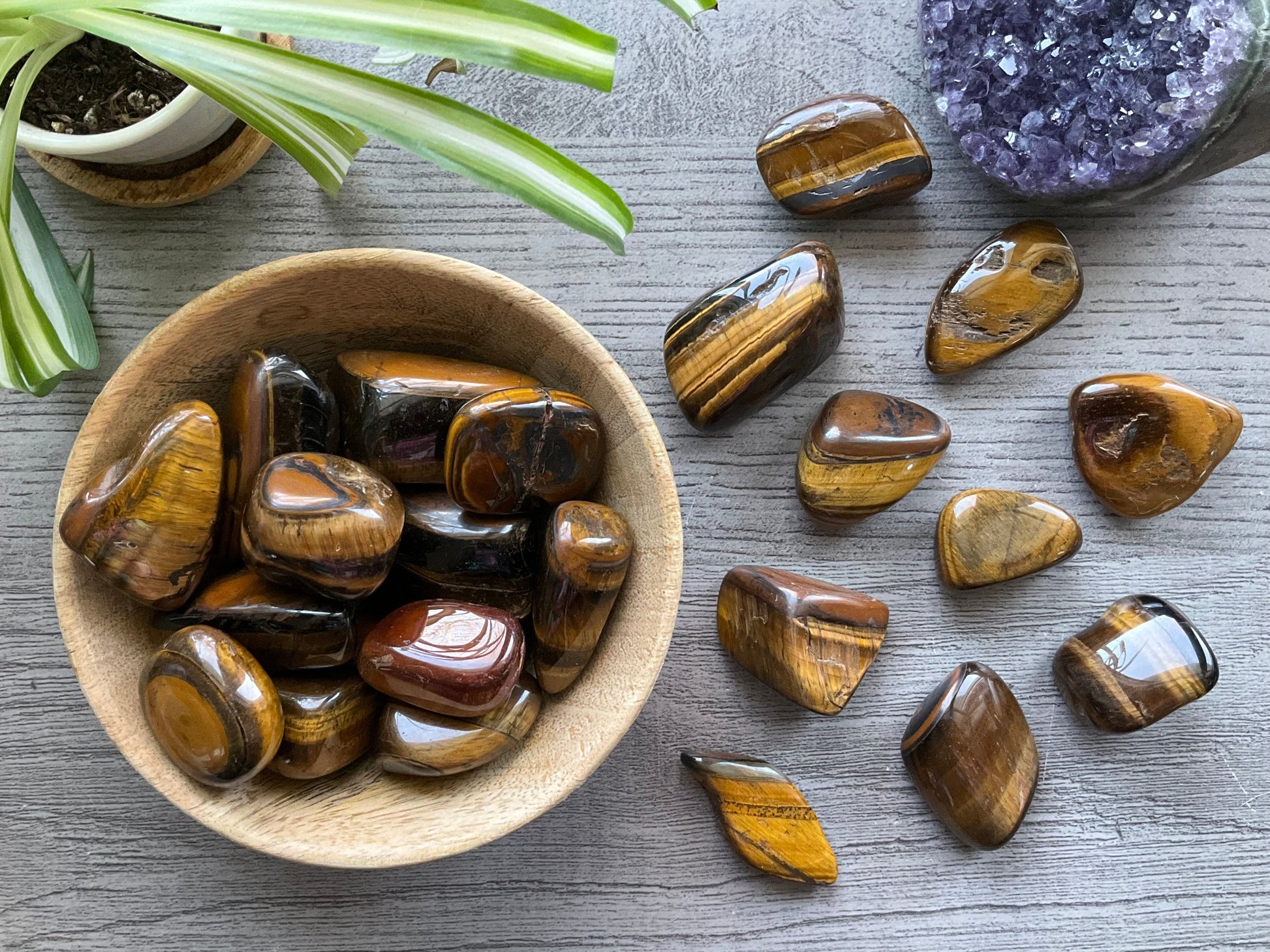 Tiger's Eye Tumbled Stone (Large) selection