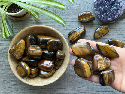 Tiger's Eye Tumbled Stone (Large) crystal