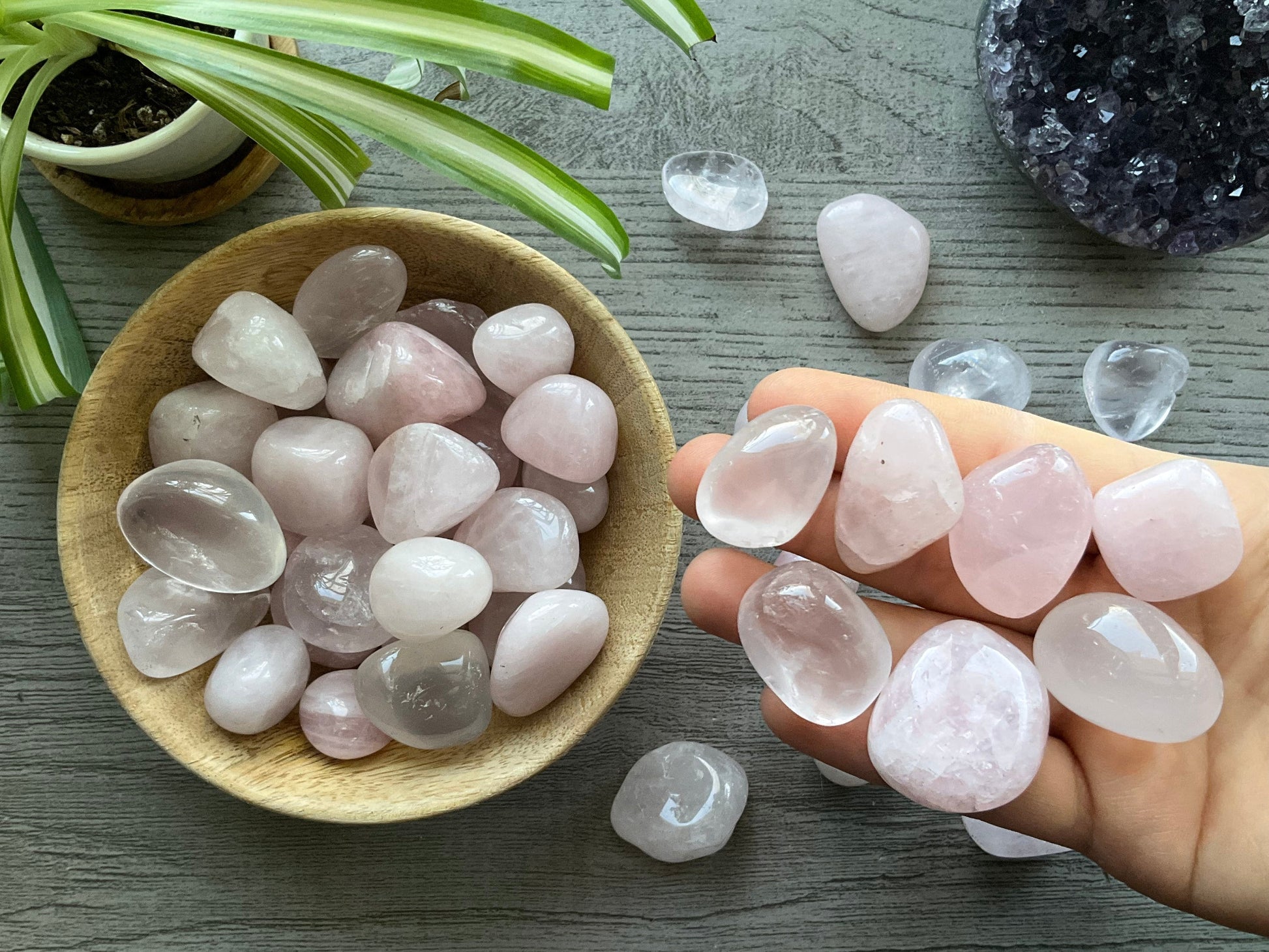 Rose Quartz Tumbled Stone close up