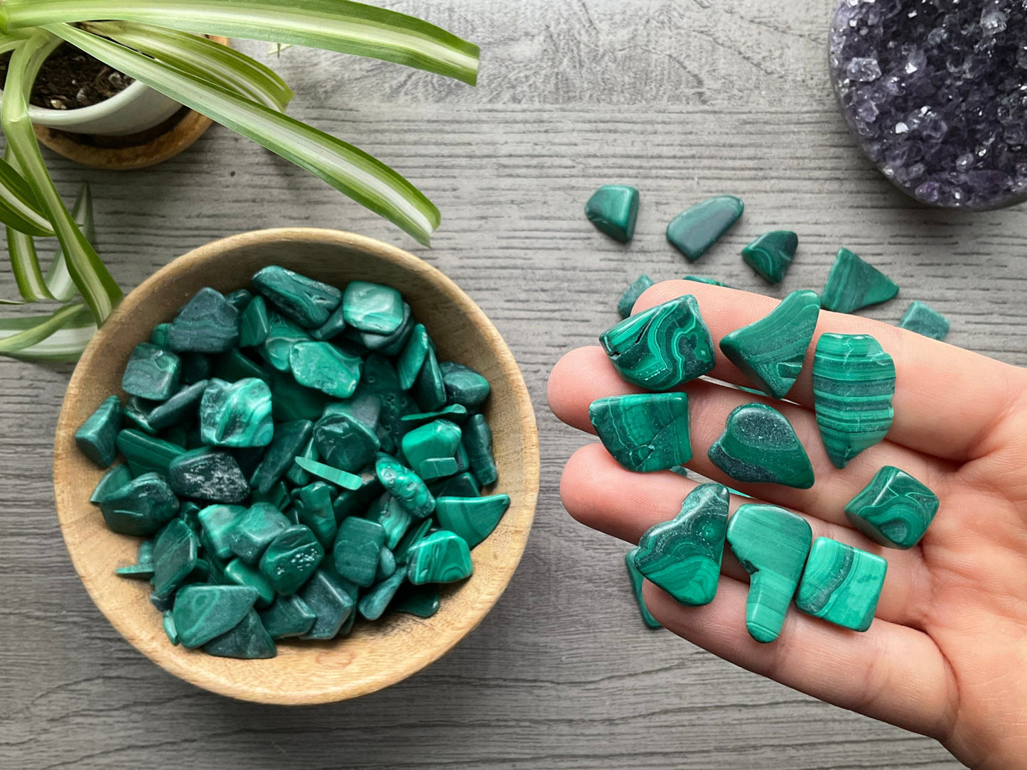 Malachite Chips (25g) Crystal Close Up