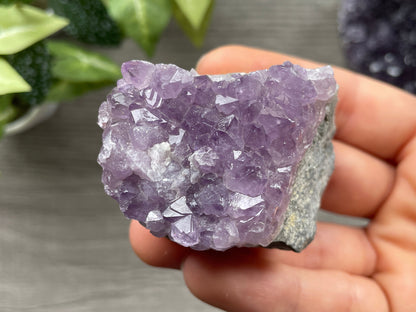 Thunder Bay Amethyst Crystal Cluster (F)