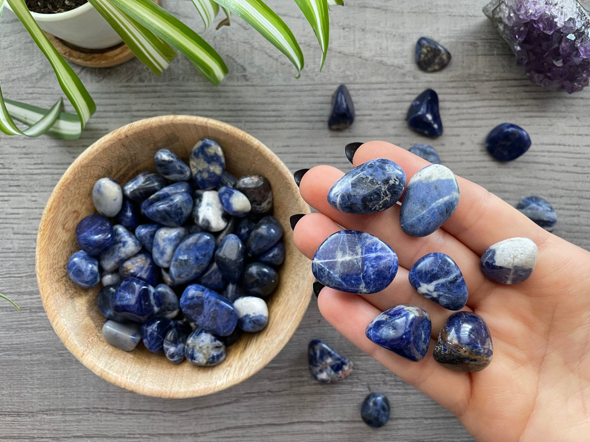 Sodalite Tumbled Stone