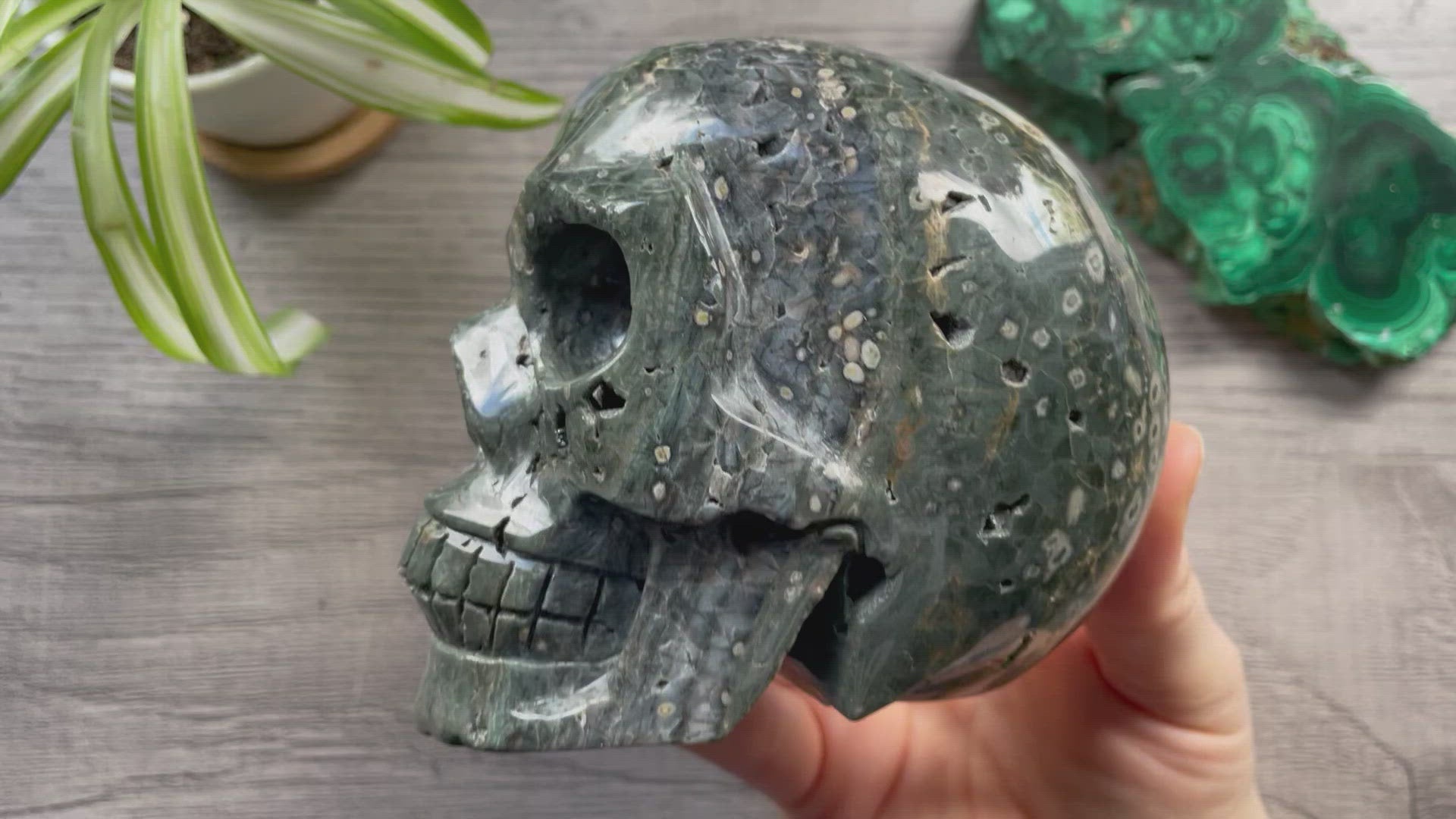 Pictured is a large skull carved out of ocean jasper or river jasper. Ocean Jasper Crystal Skull .95kg - The Wandering Fox Emporium, Your Metaphysical Store video