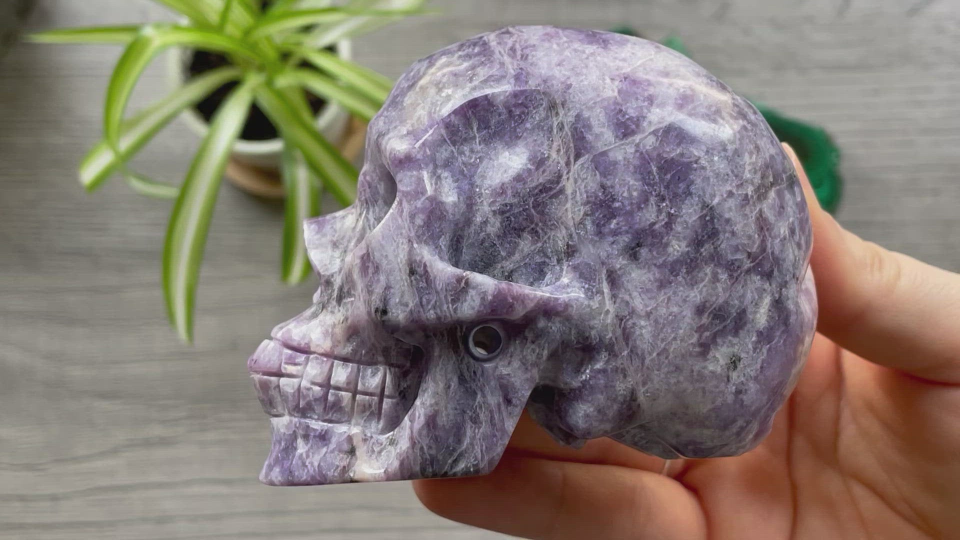 Lepidolite Crystal Skull .5kg - The Wandering Fox Emporium, Your Metaphysical Store video