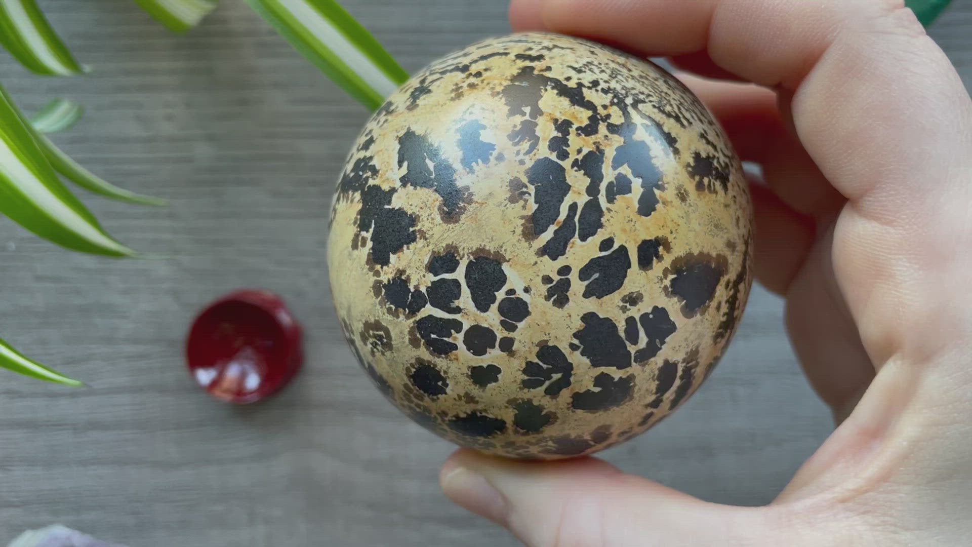 Chinese Painting Stone Sphere - 70mm - The Wandering Fox Emporium, Your Crystal Store video