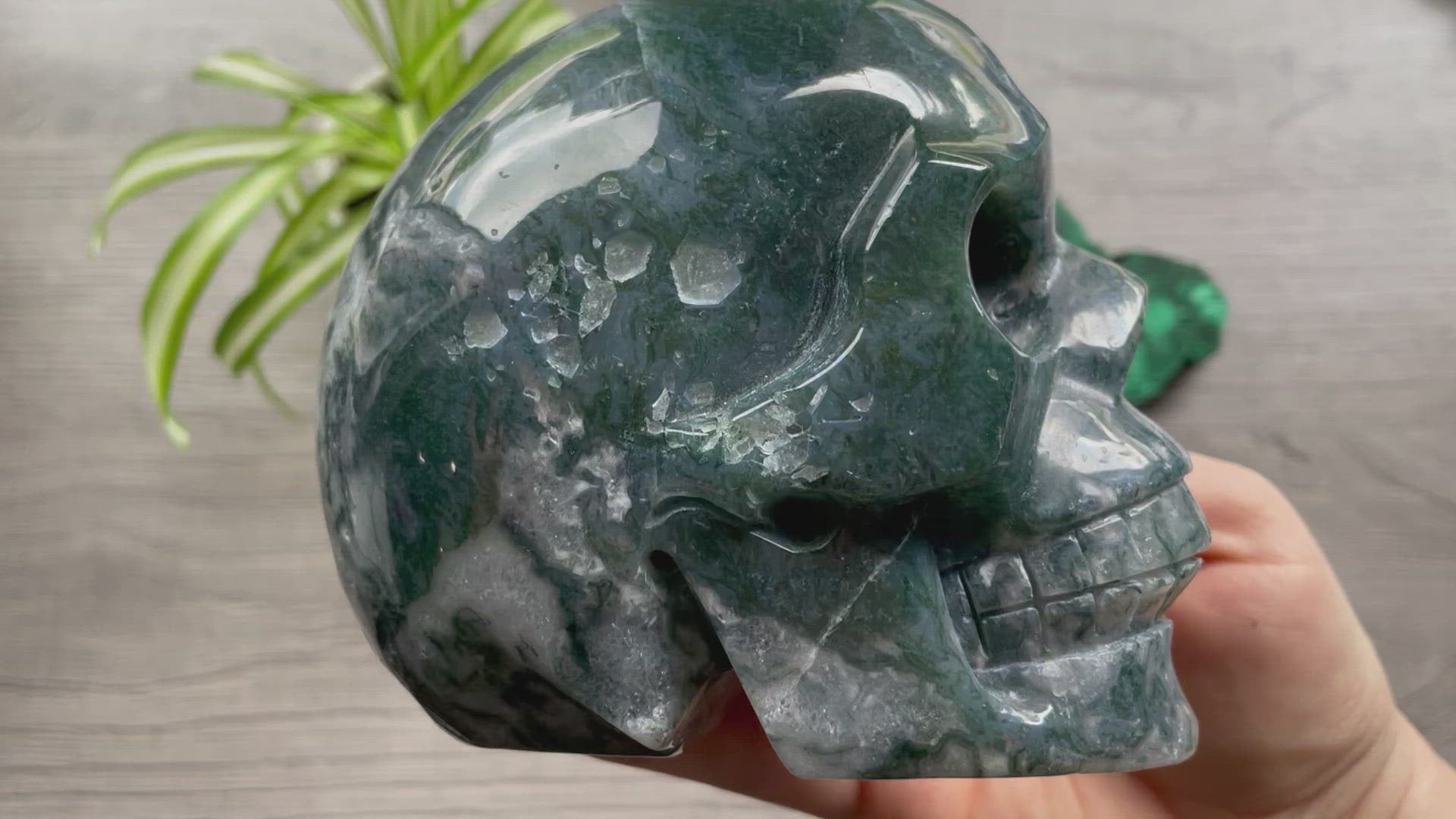 Moss Agate Skull (1.35kg) - The Wandering Fox Emporium, Your Metaphysical Store video