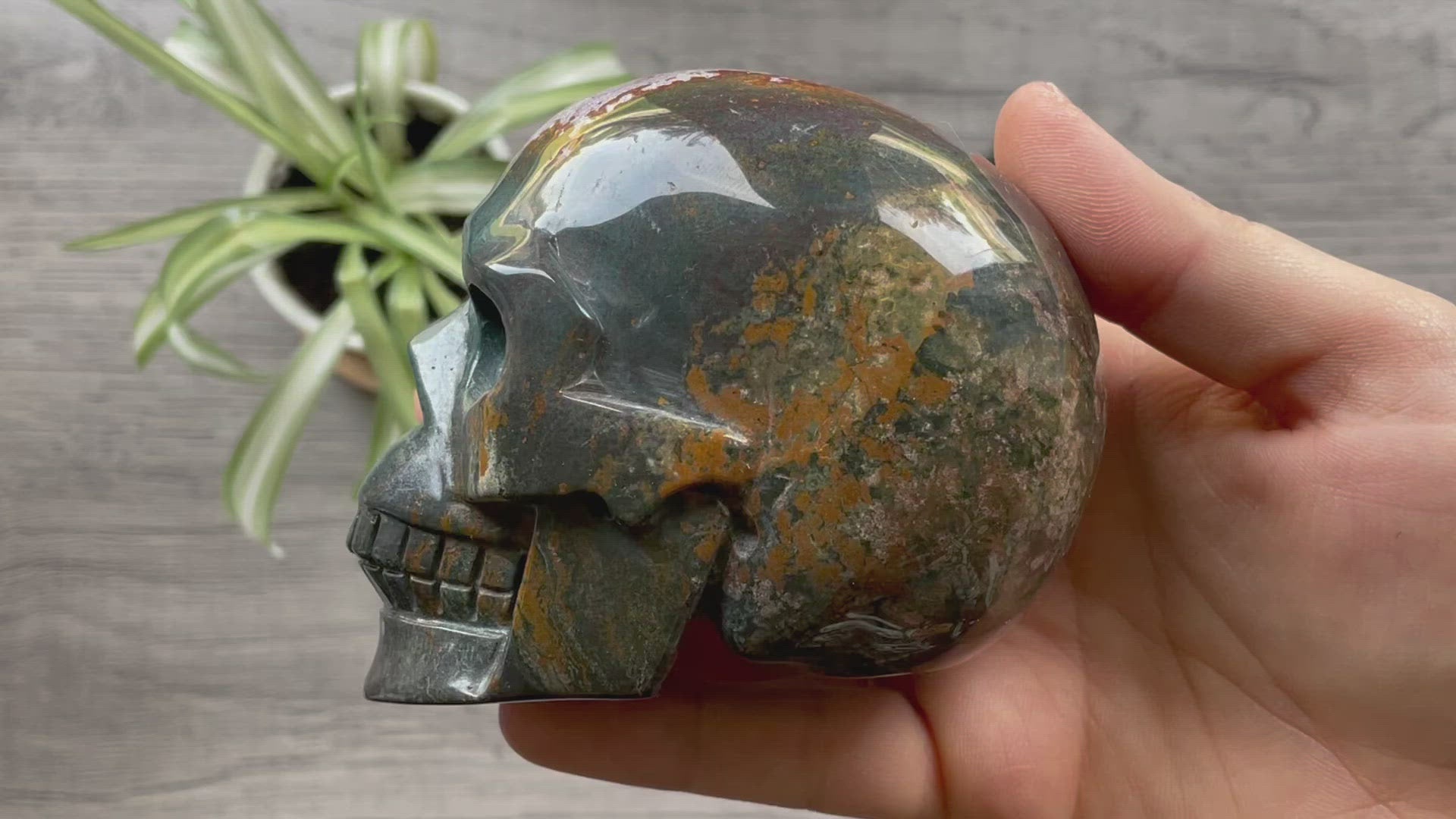 Pictured is a large skull carved out of ocean jasper or river jasper. Ocean Jasper Crystal Skull .65kg - The Wandering Fox Emporium, Your Metaphysical Store video